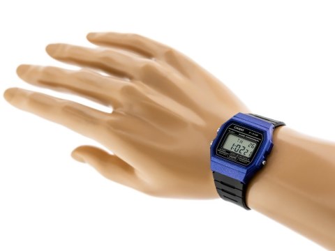 CASIO F-91WM-2ADF (zd102e) + KASSEUR HERREUR CASIO F-91WM-2ADF (zd102e) + KASSEUR HERREUR