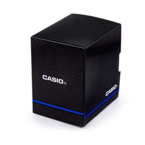 CASIO MTP-1302PD-1A1 (zd072f) + KASSEUR HERREUR CASIO MTP-1302PD-1A1 (zd072f) + KASSEUR HERREUR